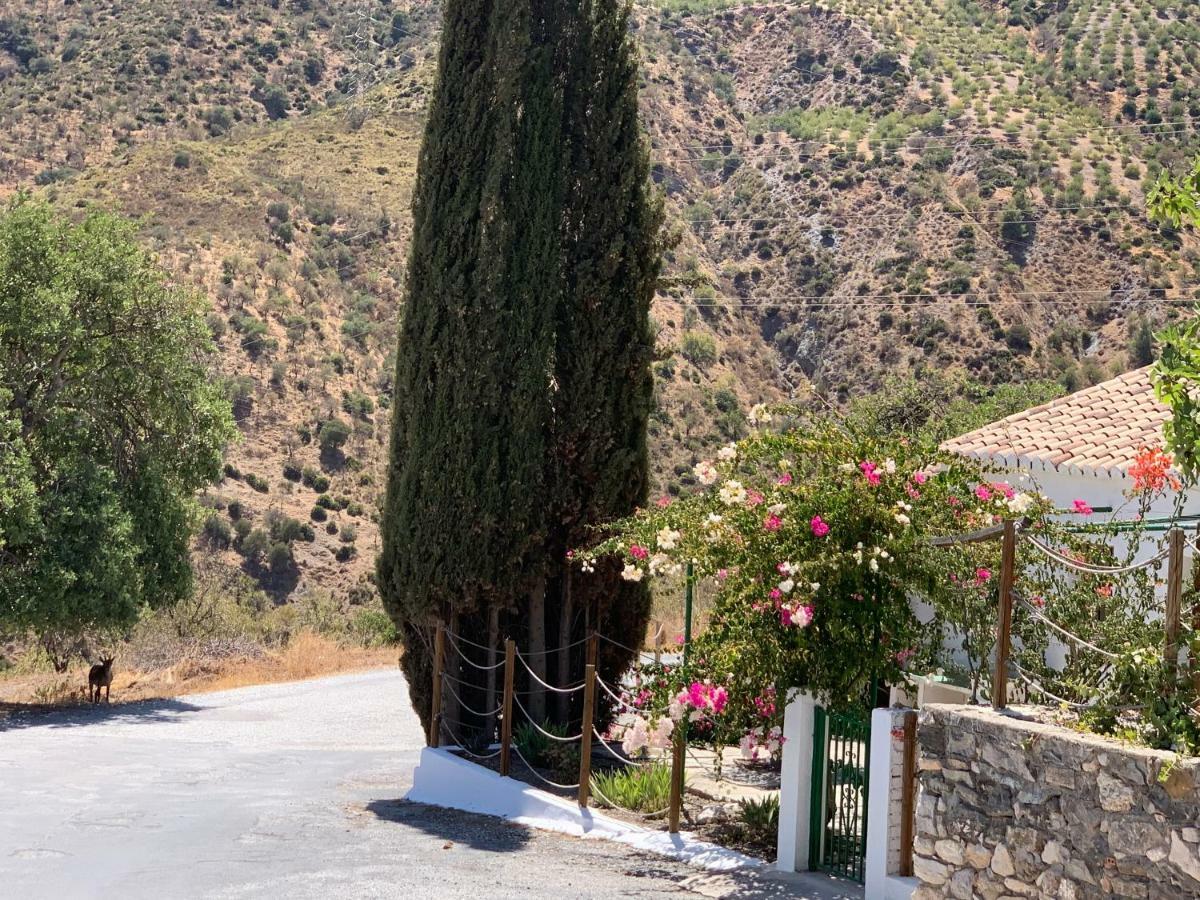 La Casilla- La Almona Chica Guest House El Chorro Eksteriør bilde